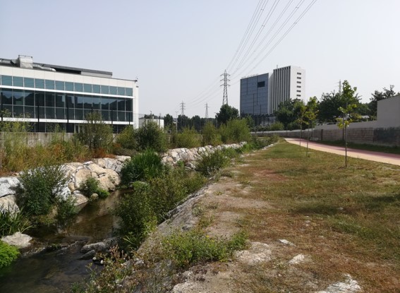 S-IBS: River Restoration – from theory to practice